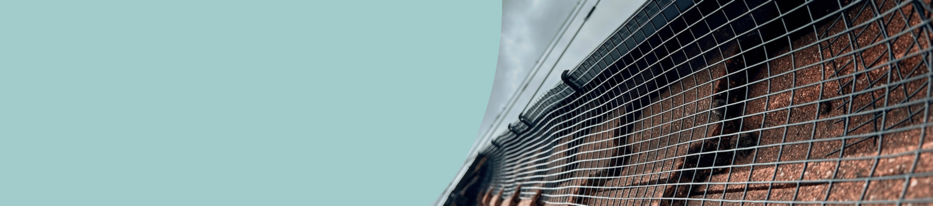 Image of solar panel bird proofing