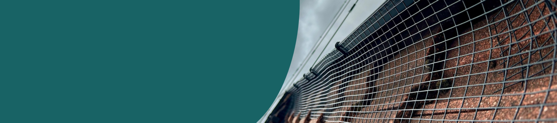 Image of solar panel bird proofing