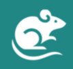 Nampton Pest Management Logo